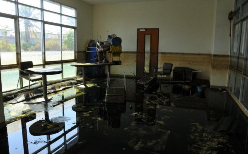 after flood7.jpg